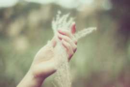 挽回情感项目的流程：从破碎到重建的理性之路